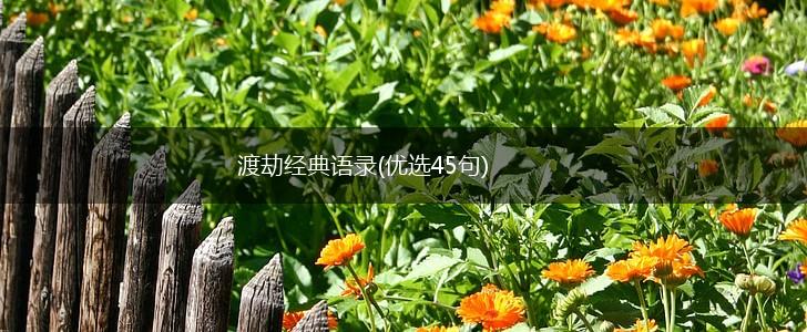 渡劫经典语录(优选45句),第1张