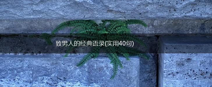致男人的经典语录(实用40句),第1张