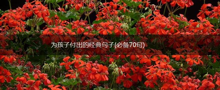 为孩子付出的经典句子(必备70句),第1张