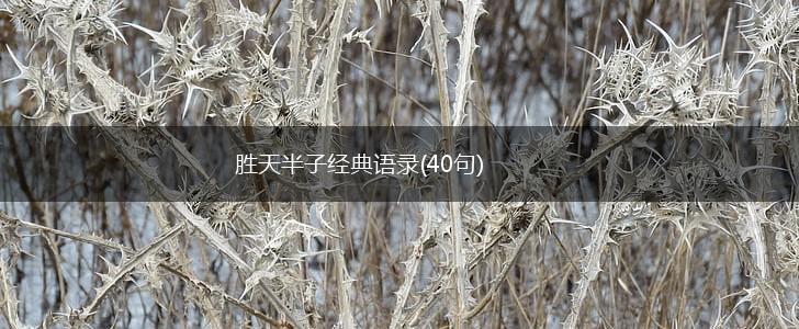 胜天半子经典语录(40句),第1张