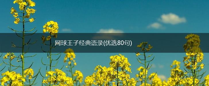 网球王子经典语录(优选80句),第1张