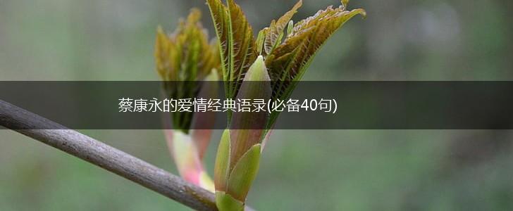 蔡康永的爱情经典语录(必备40句),第1张