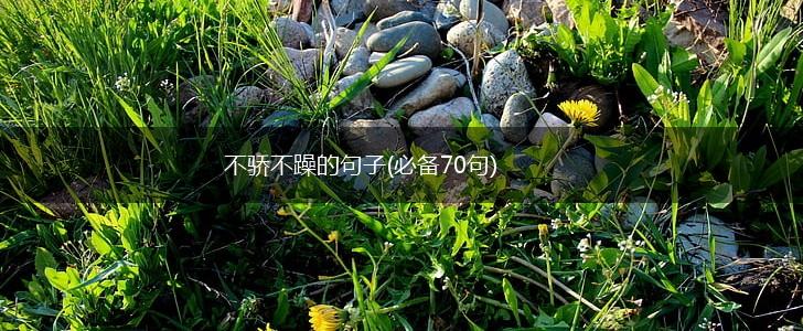 不骄不躁的句子(必备70句),第1张