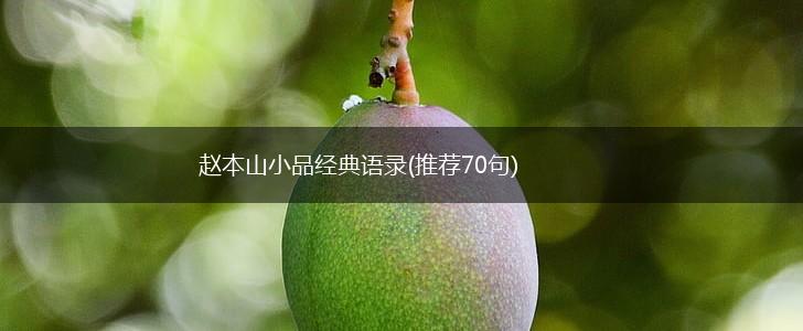 赵本山小品经典语录(推荐70句),第1张