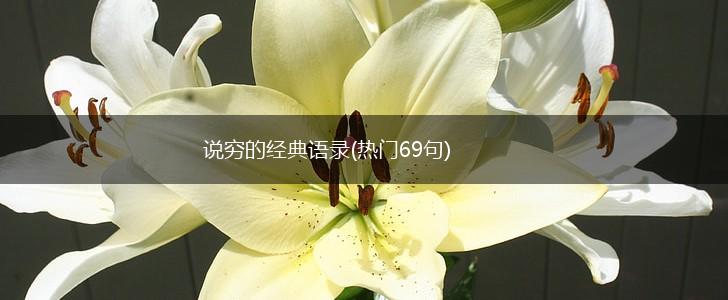 说穷的经典语录(热门69句),第1张