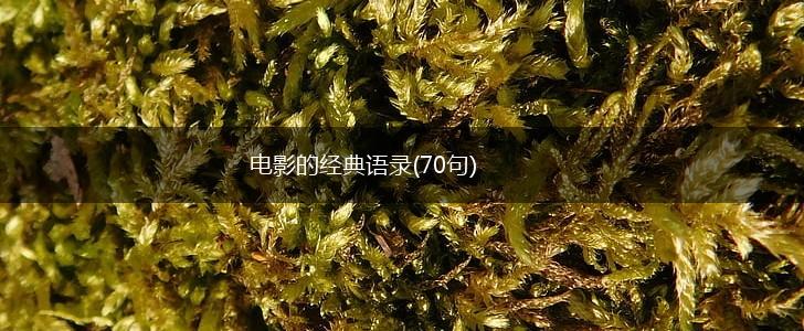 电影的经典语录(70句),第1张