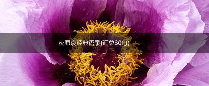 灰原哀经典语录(汇总30句),第1张