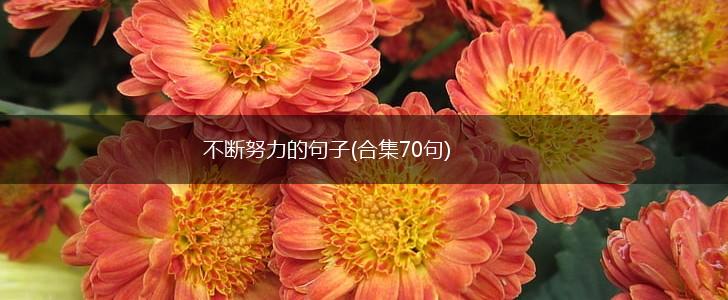 不断努力的句子(合集70句),第1张