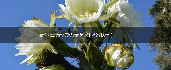 福尔摩斯经典语录英文(必备10句),第1张