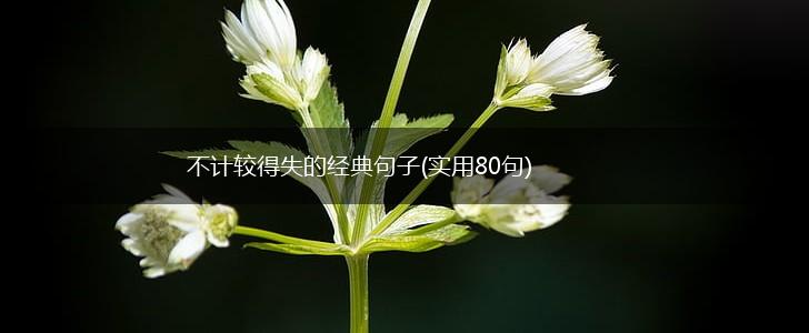 不计较得失的经典句子(实用80句),第1张