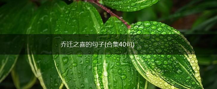 乔迁之喜的句子(合集40句),第1张