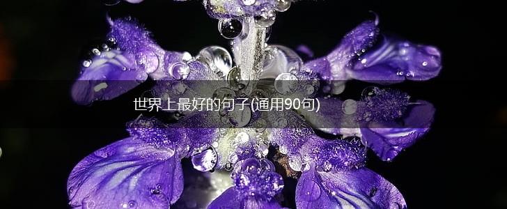 世界上最好的句子(通用90句),第1张