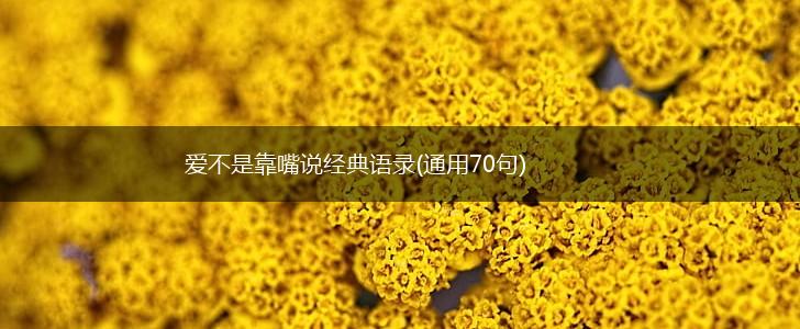 爱不是靠嘴说经典语录(通用70句),第1张
