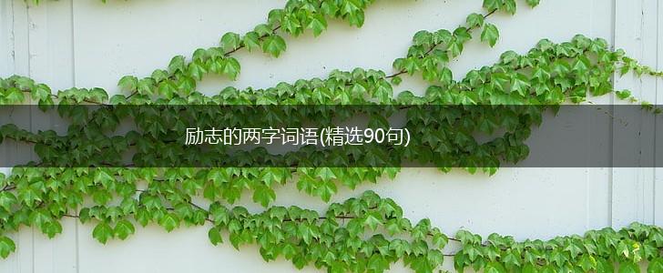 励志的两字词语(精选90句),第1张
