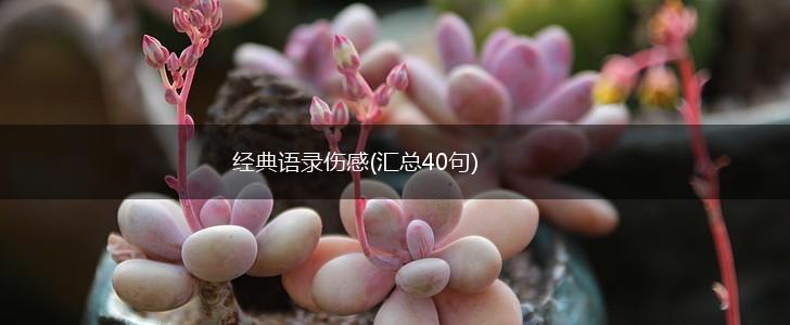 经典语录伤感(汇总40句),第1张