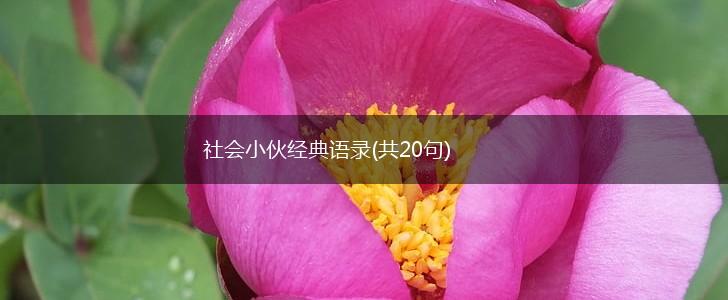 社会小伙经典语录(共20句),第1张 社会小伙经典语录(共20句),第1张