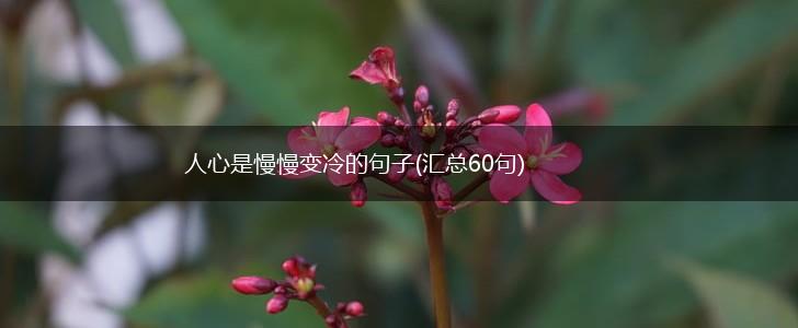 人心是慢慢变冷的句子(汇总60句),第1张