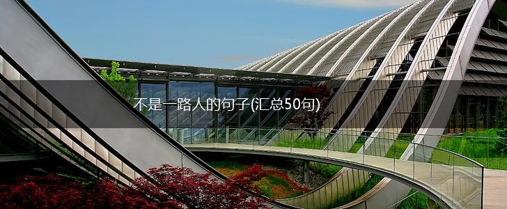 不是一路人的句子(汇总50句),第1张