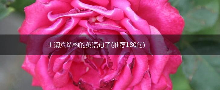 主谓宾结构的英语句子(推荐180句),第1张