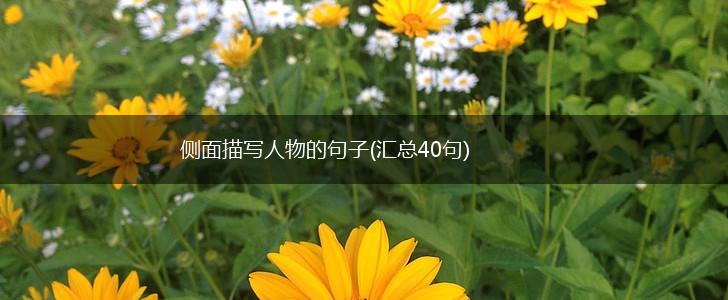 侧面描写人物的句子(汇总40句),第1张