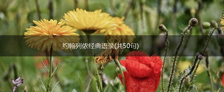 约翰列侬经典语录(共50句),第1张