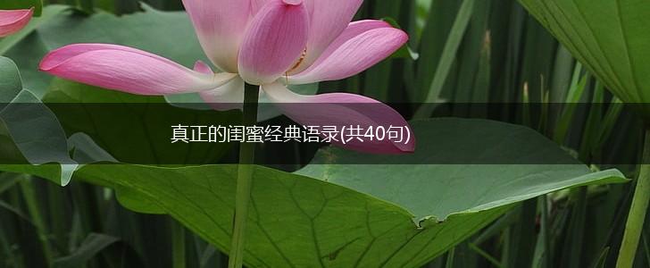 真正的闺蜜经典语录(共40句),第1张