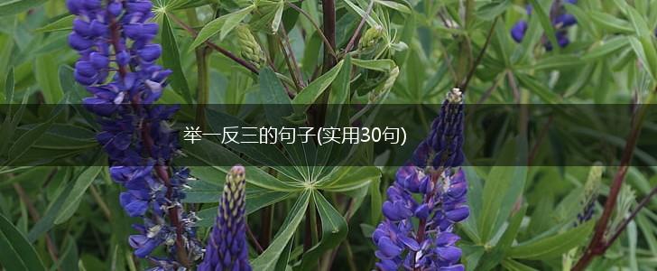举一反三的句子(实用30句),第1张