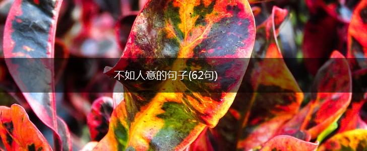 不如人意的句子(62句),第1张