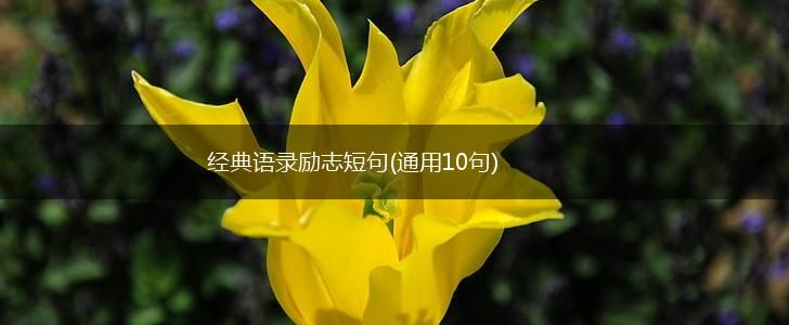 经典语录励志短句(通用10句),第1张