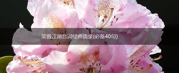 笑傲江湖台词经典语录(必备40句),第1张