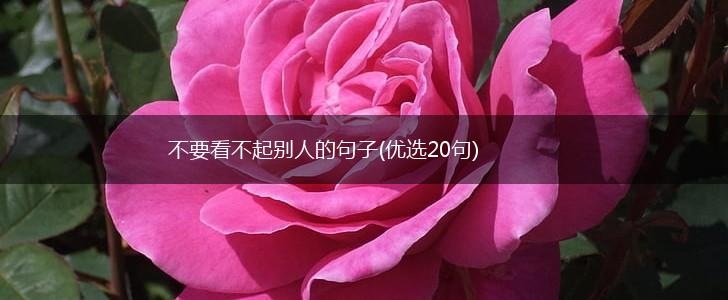 不要看不起别人的句子(优选20句),第1张