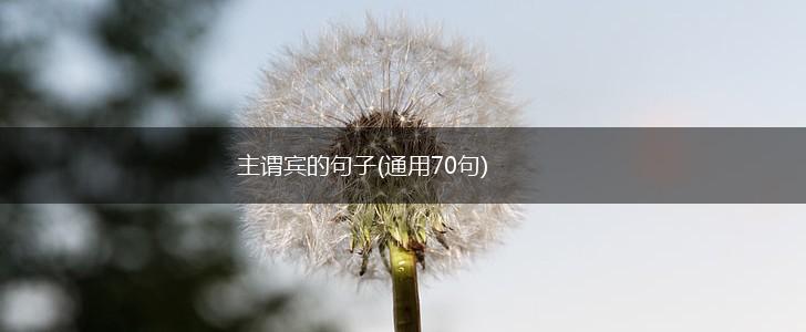 主谓宾的句子(通用70句),第1张