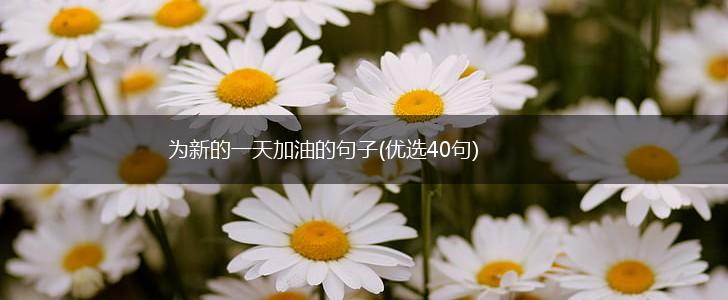 为新的一天加油的句子(优选40句),第1张