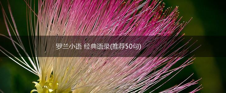 罗兰小语 经典语录(推荐50句),第1张