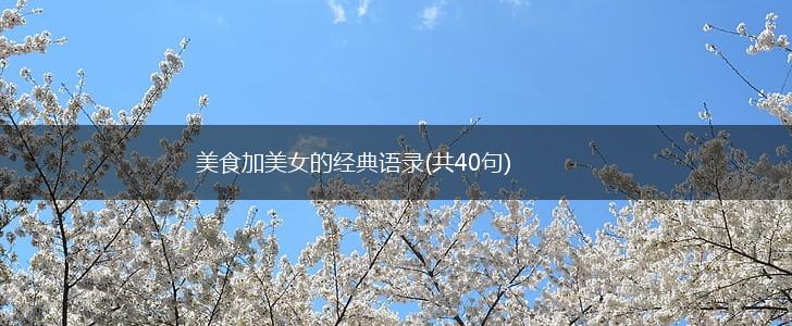 美食加美女的经典语录(共40句),第1张