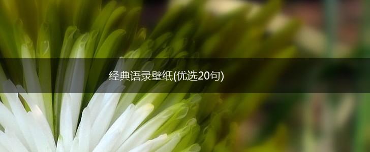 经典语录壁纸(优选20句),第1张