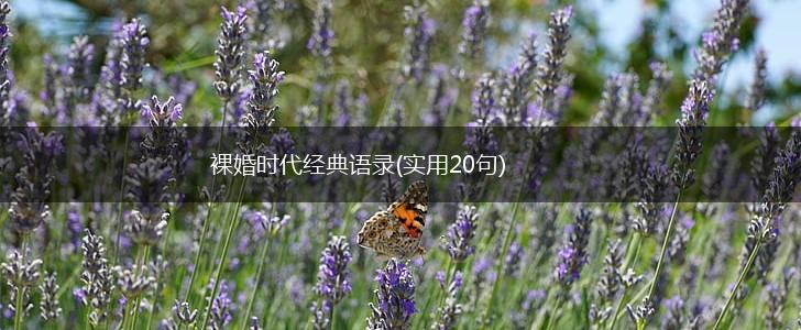 裸婚时代经典语录(实用20句),第1张