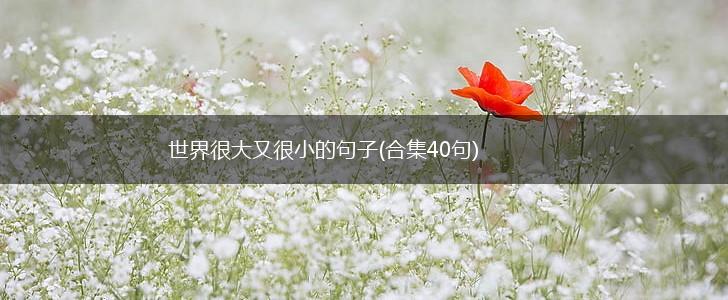 世界很大又很小的句子(合集40句),第1张