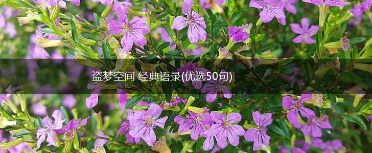 盗梦空间 经典语录(优选50句),第1张