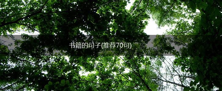 书籍的句子(推荐70句),第1张