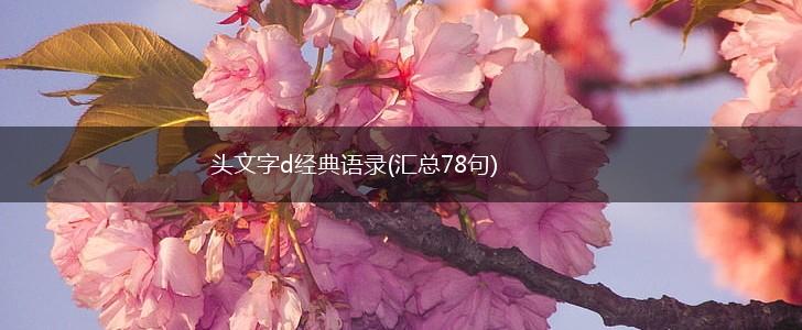 头文字d经典语录(汇总78句),第1张