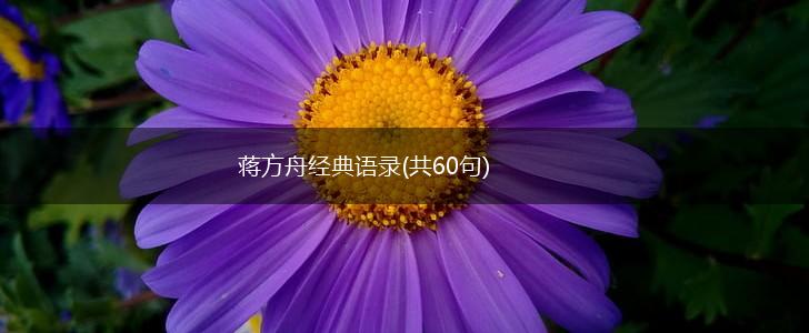 蒋方舟经典语录(共60句),第1张 蒋方舟经典语录(共60句),第1张