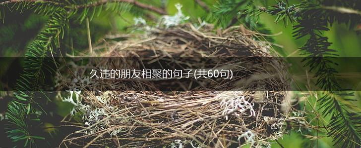 久违的朋友相聚的句子(共60句),第1张