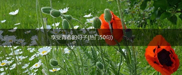 享受青春的句子(热门50句),第1张