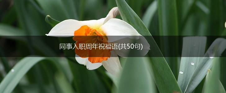 同事入职周年祝福语(共50句),第1张