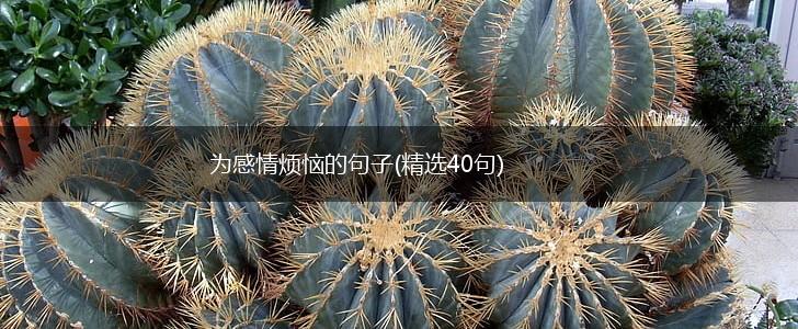 为感情烦恼的句子(精选40句),第1张