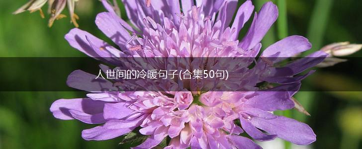 人世间的冷暖句子(合集50句),第1张
