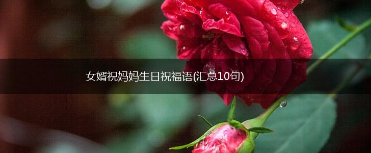 女婿祝妈妈生日祝福语(汇总10句),第1张 女婿祝妈妈生日祝福语(汇总10句),第1张