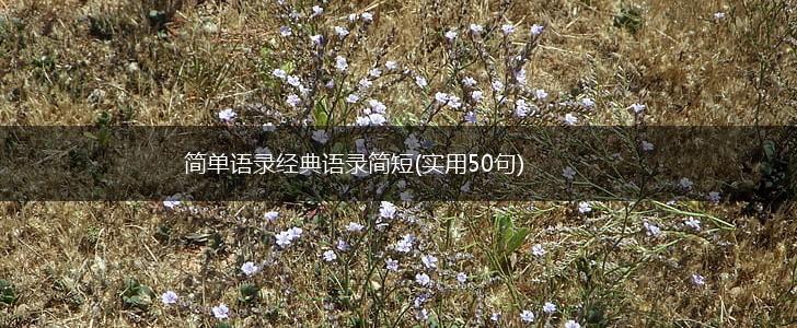 简单语录经典语录简短(实用50句),第1张
