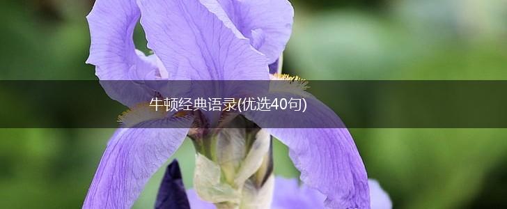 牛顿经典语录(优选40句),第1张